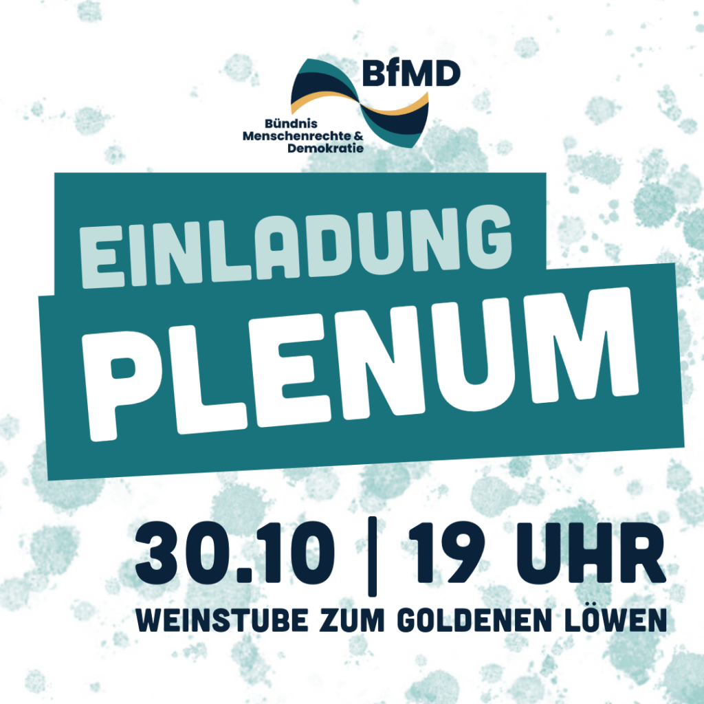 Einladung zum Plenum am 30.10 um 19 Uhr in der Weinstube zum Goldenen Löwen