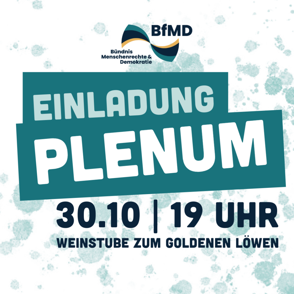 Einladung zum Plenum am 30.10 um 19 Uhr in der Weinstube zum Goldenen Löwen